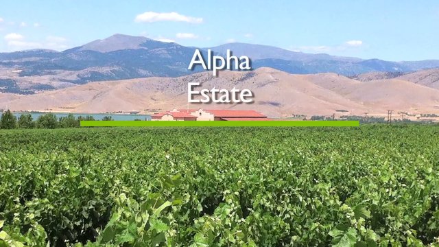 Read more about the article Alpha Estate