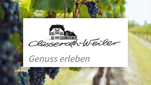 Read more about the article Clüsserath-Weiler winery in Trittenheim