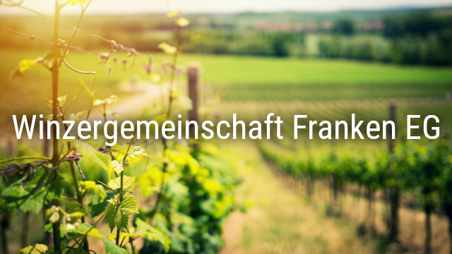 Read more about the article Die Winzergemeinschaft Franken EG