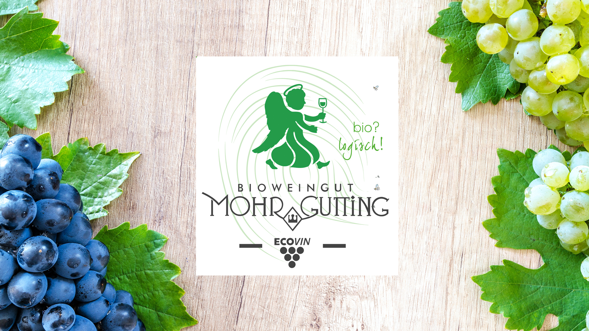 Weingut Mohr-Gutting – EcoVin Weingut