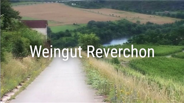 Read more about the article Weingut Reverchon