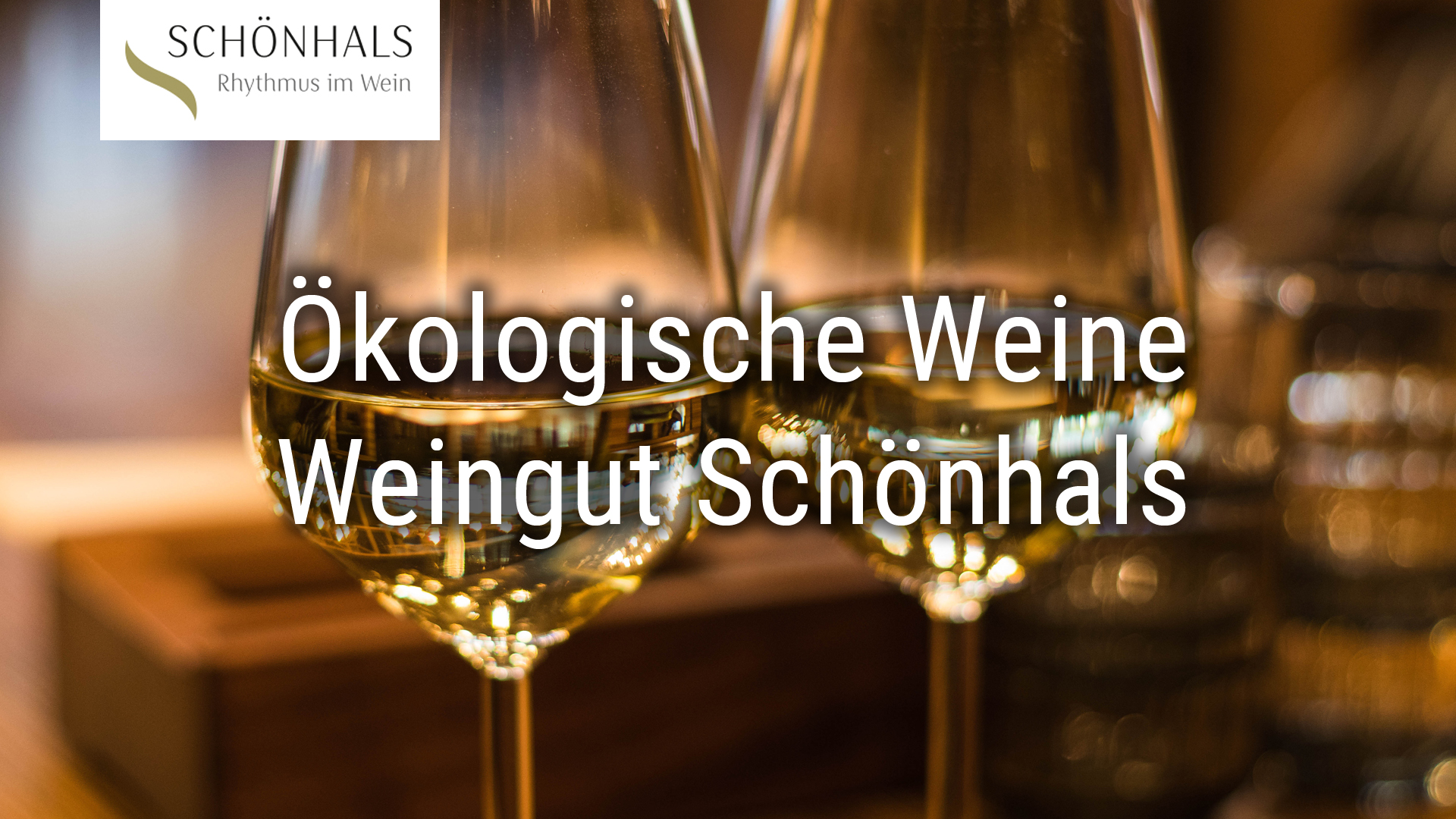 Read more about the article Organic wines from the Schönhals winery (ECOVIN)