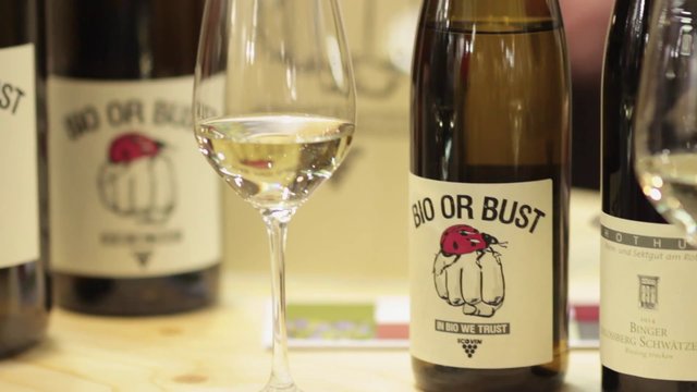 Read more about the article Bio or Bust – Weingut Hothum