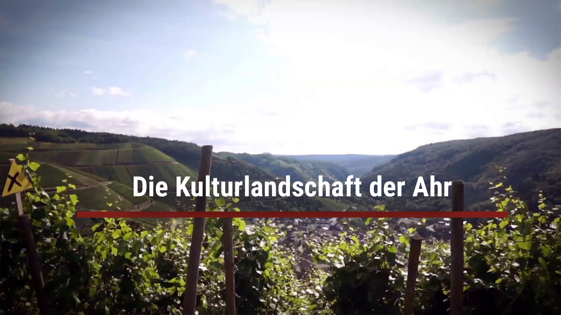 Read more about the article Die Kulturlandschaft der Ahr
