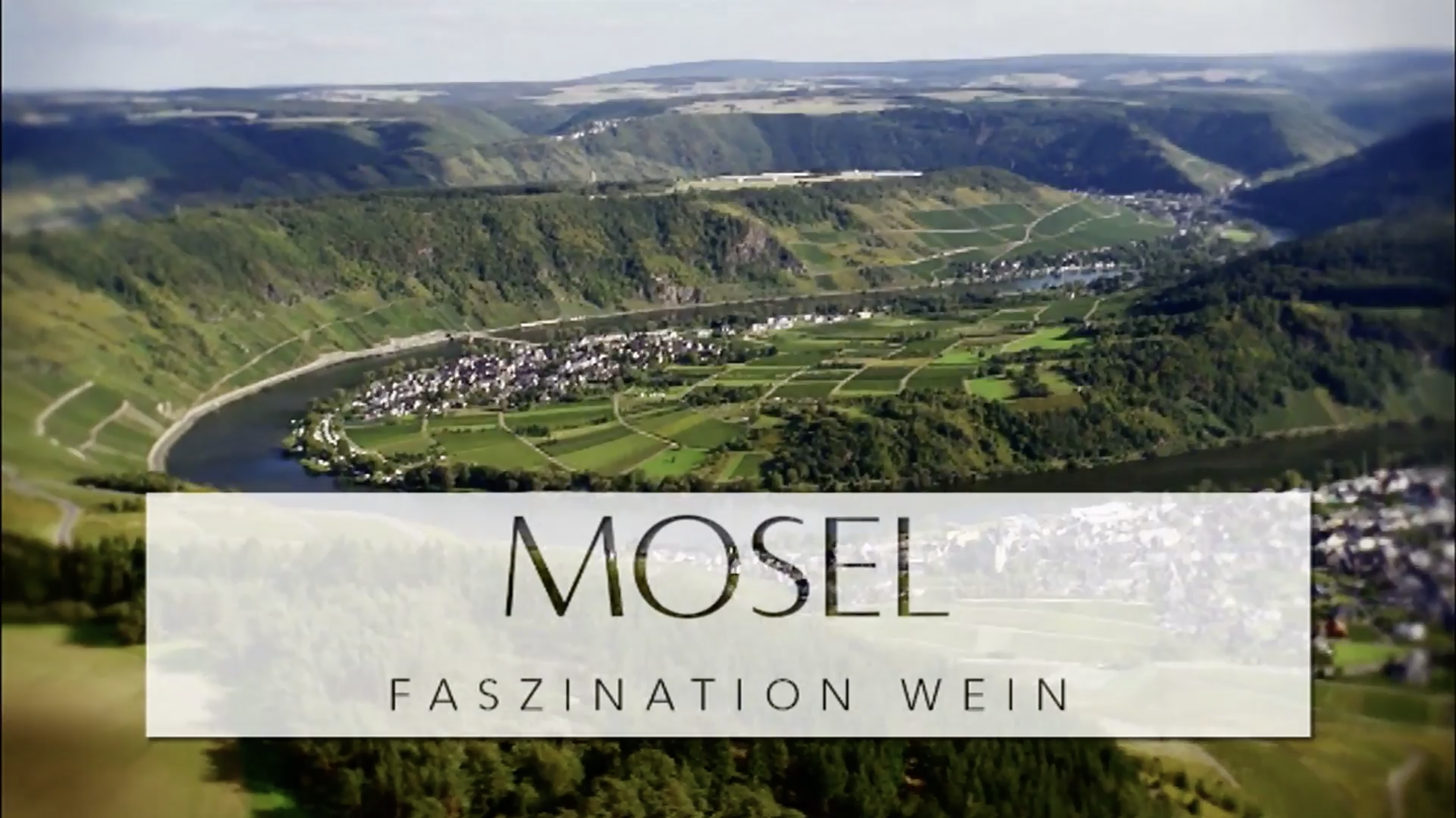 Read more about the article The Moselle and its history