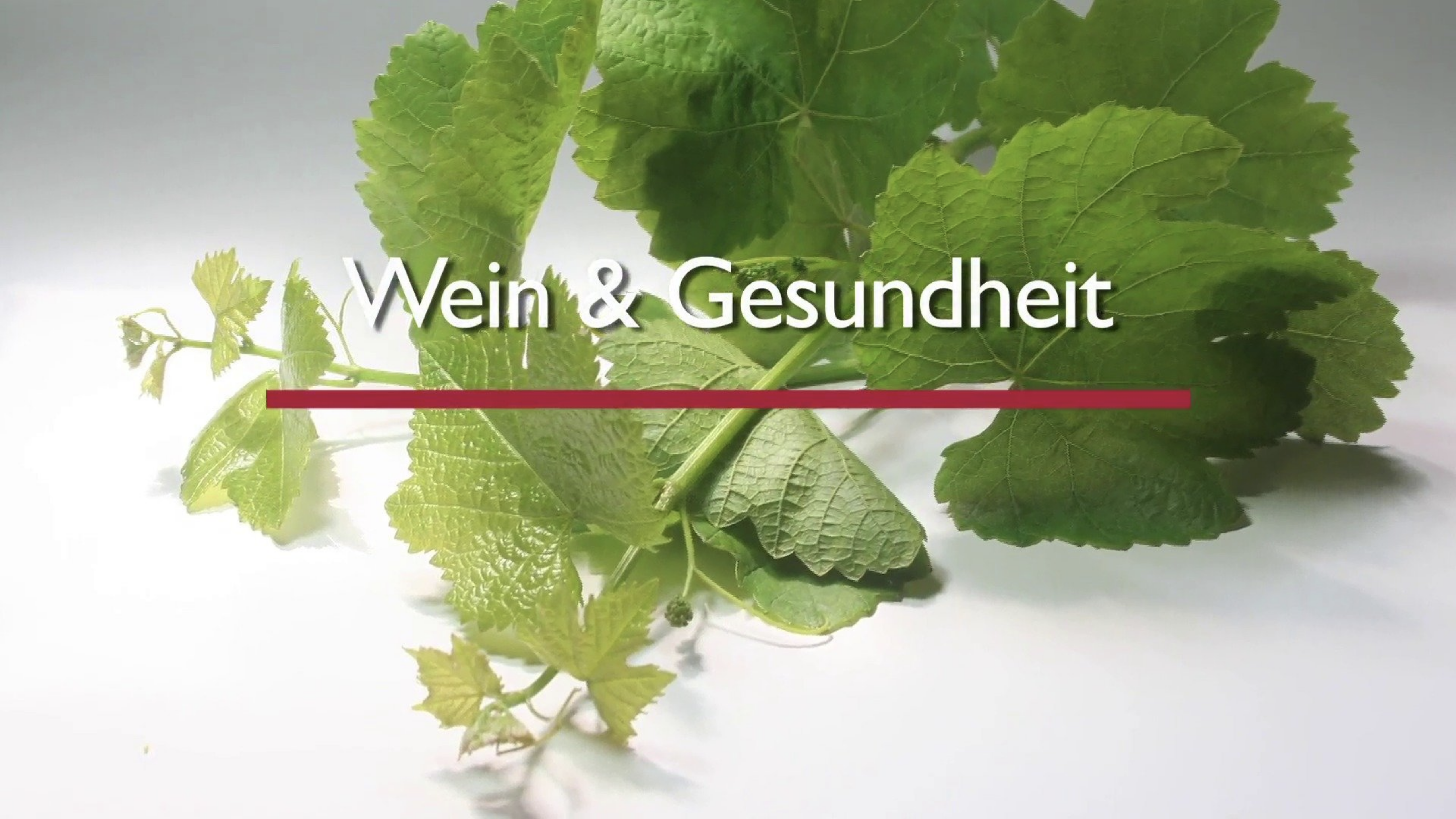 Read more about the article Das Forum Wein & Gesundheit