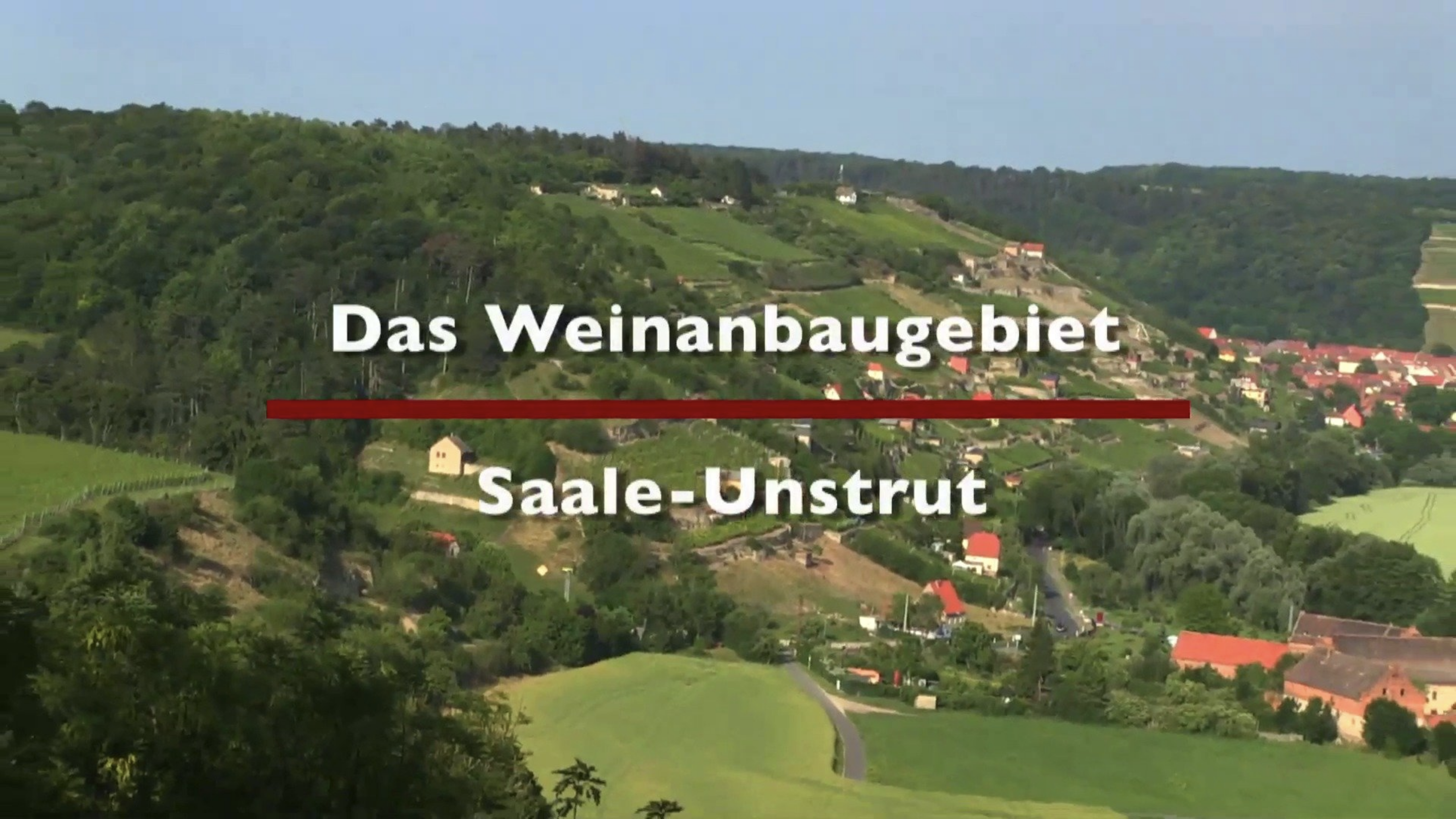 Read more about the article Das Weinbaugebiet Saale-Unstrut