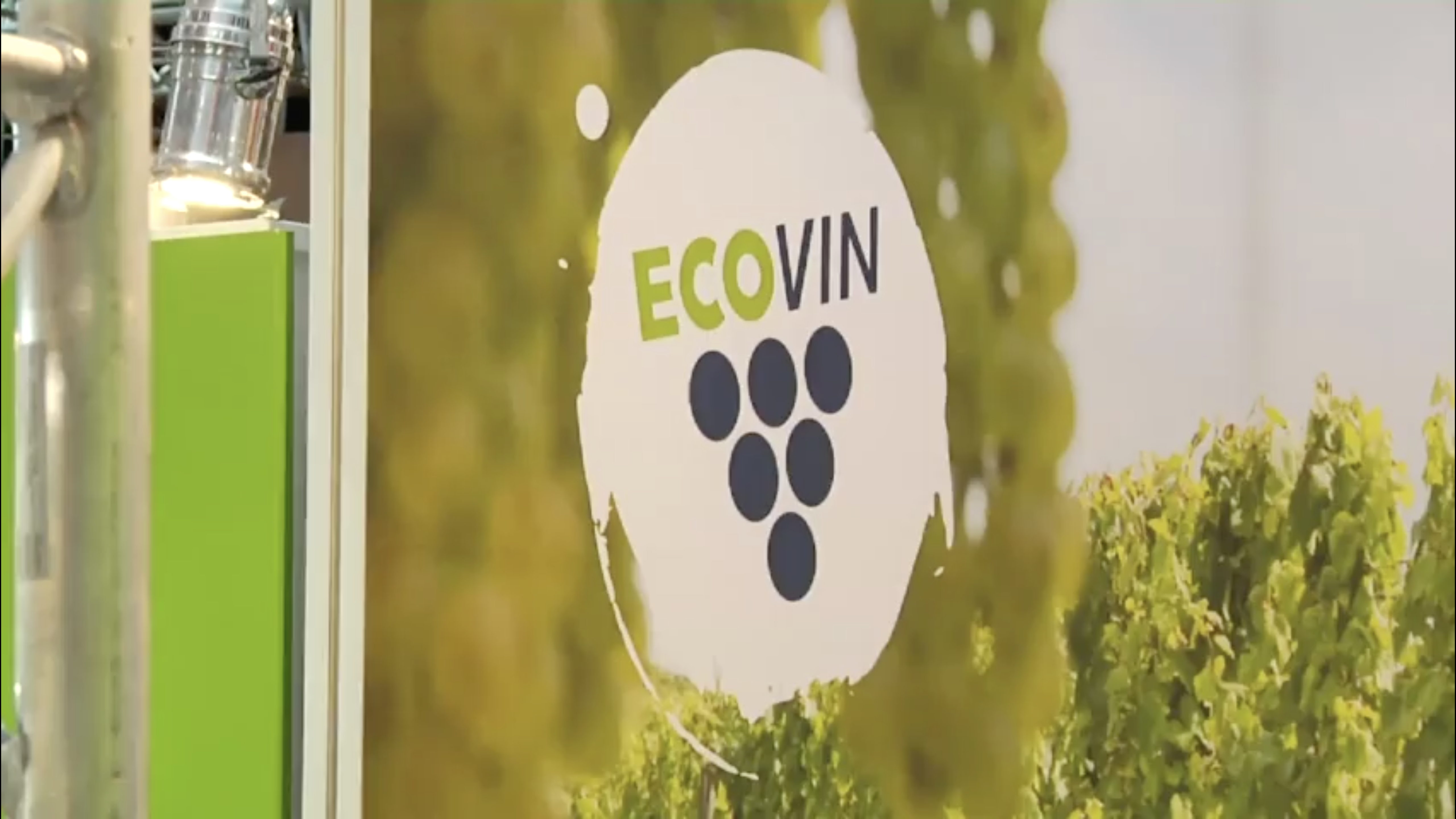 Read more about the article ECOVIN – Winery Hoflößnitz