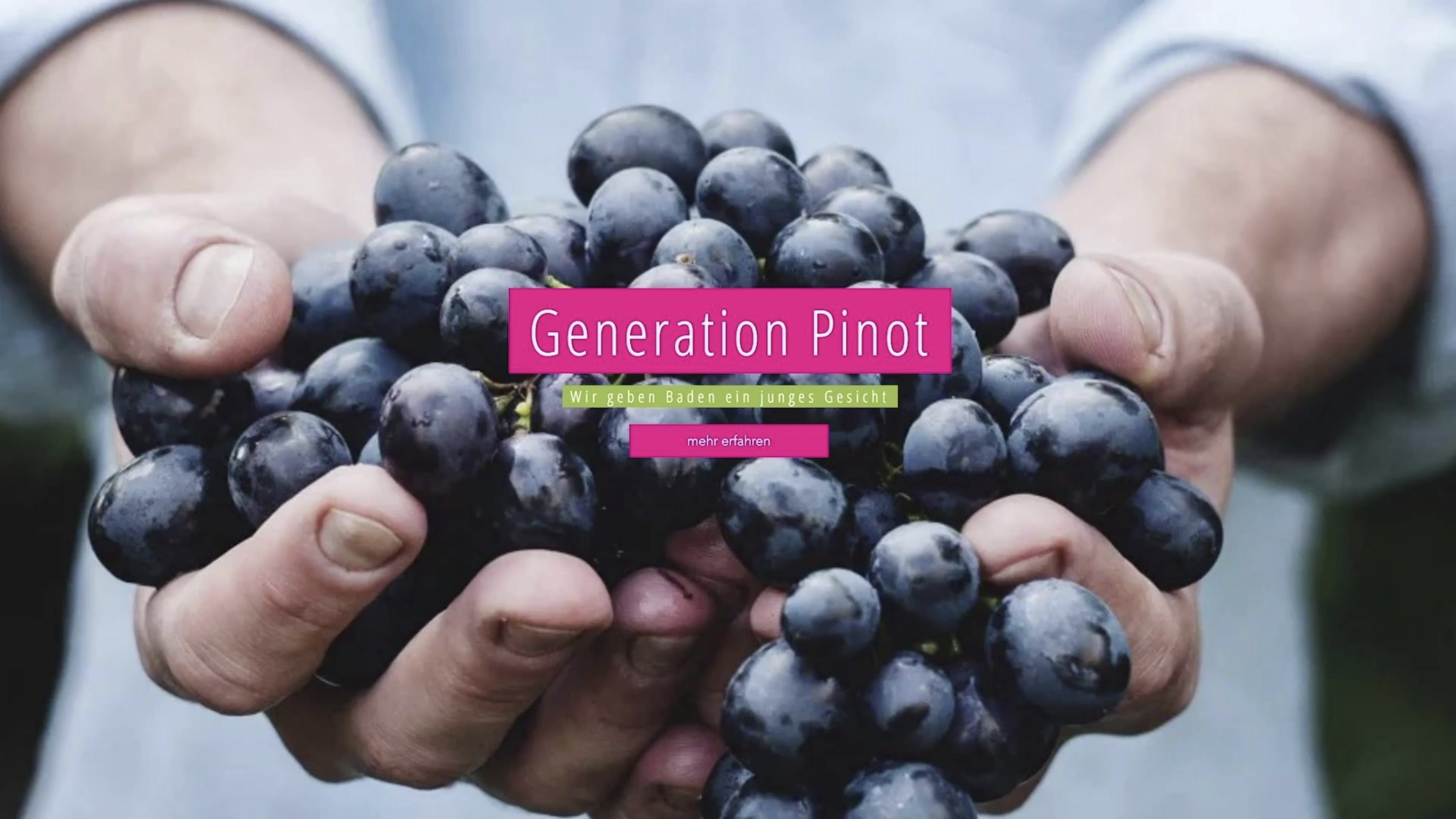 Generation Pinot – Badens Jungwinzer