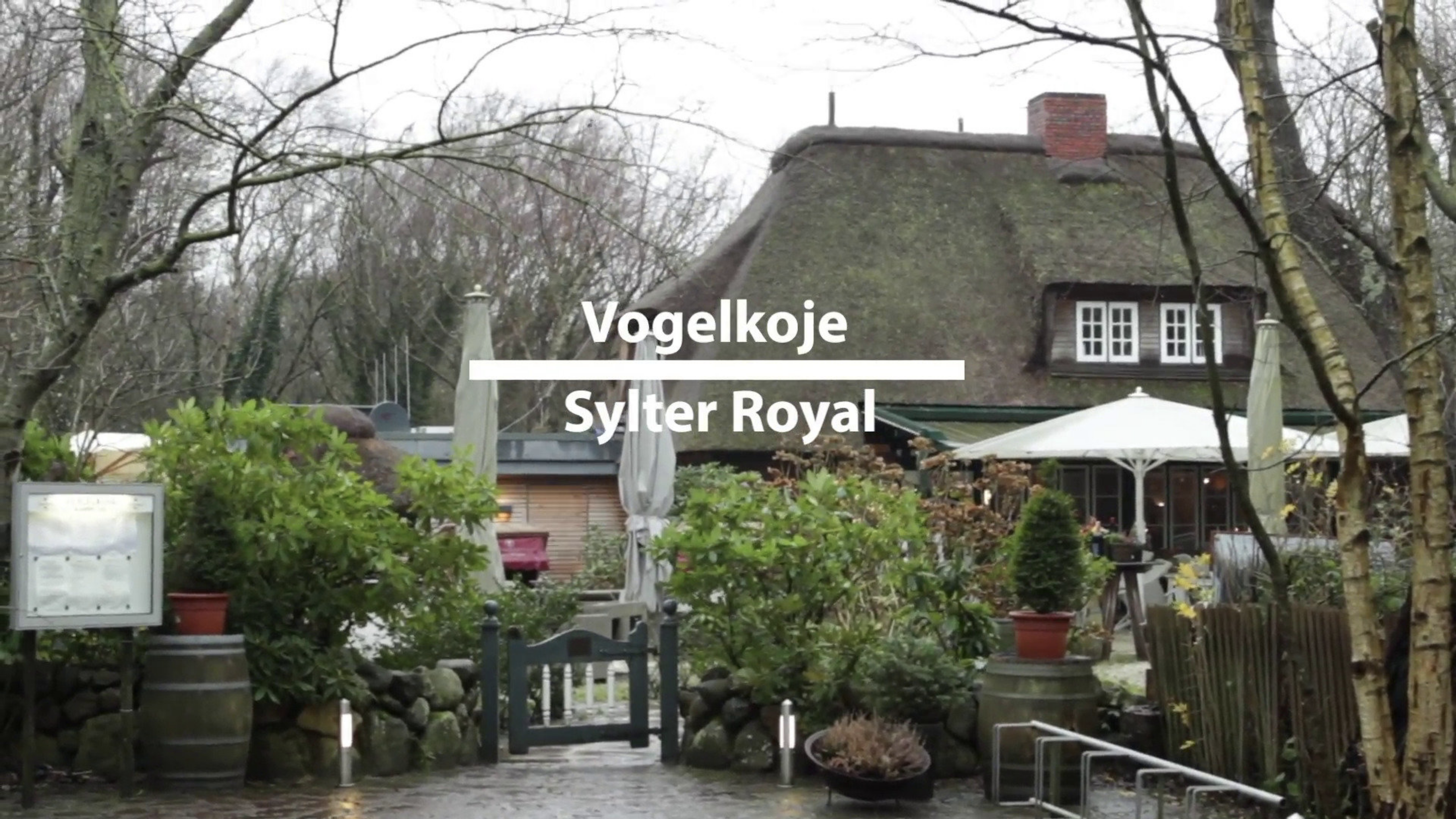Read more about the article The Vogelkoje on Sylt