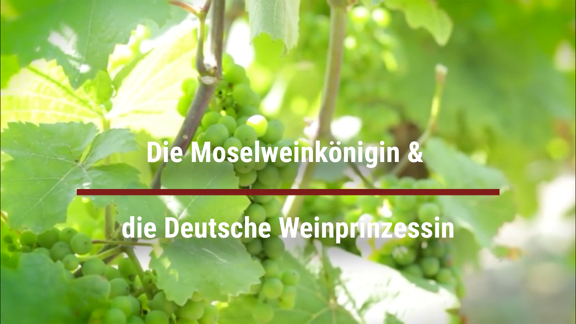 Read more about the article Die Moselweinkönigin & die Deutsche Weinprinzessin