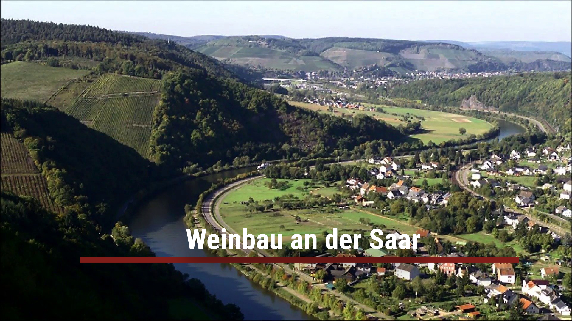 Read more about the article Weinbau an der Saar