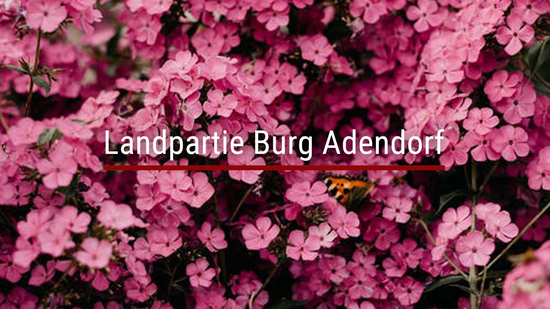 Read more about the article Landpartie Burg Adendorf