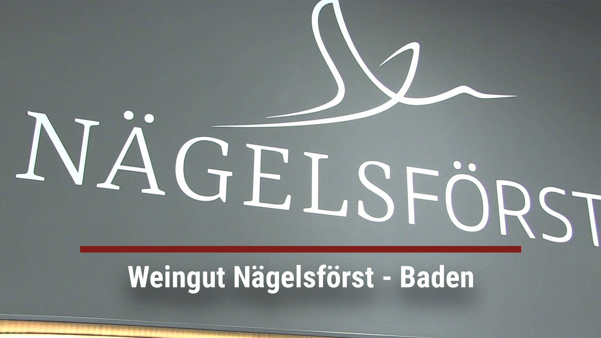Read more about the article Winery Nägelsförst – Baden
