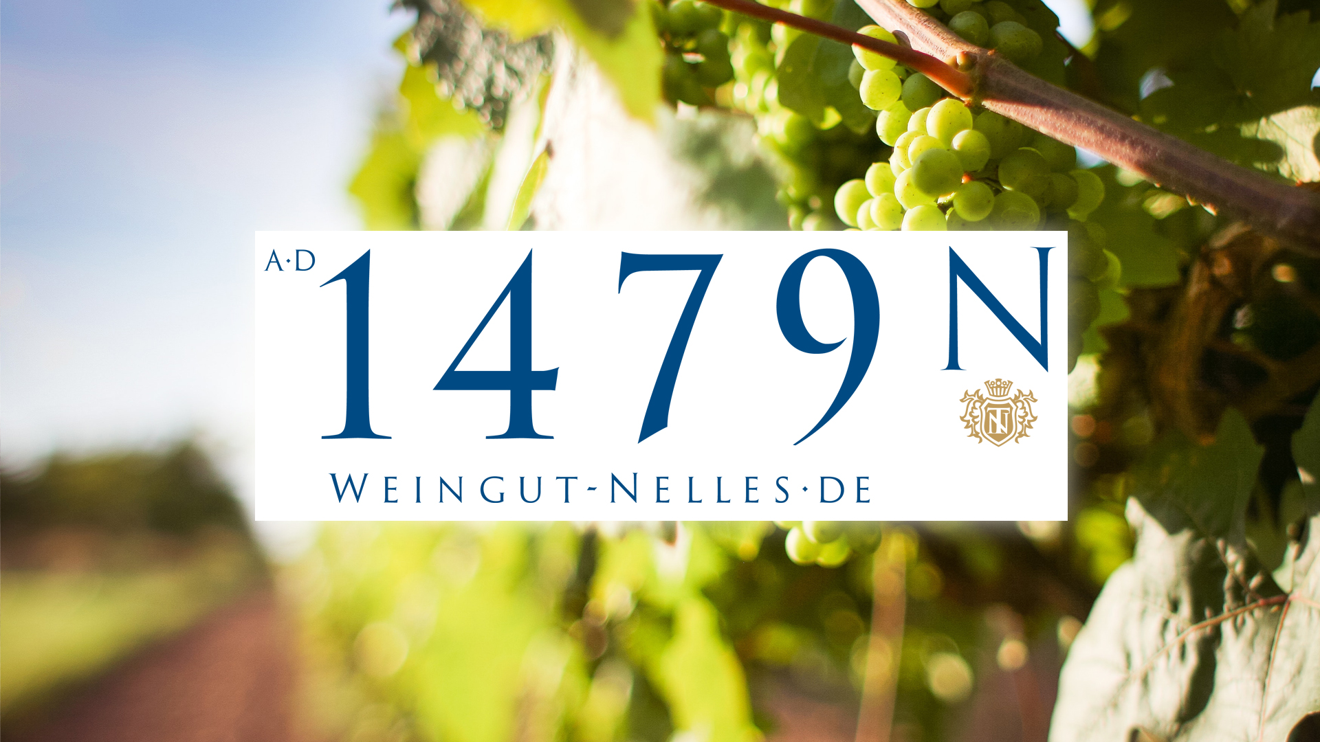 Read more about the article Weingut Nelles