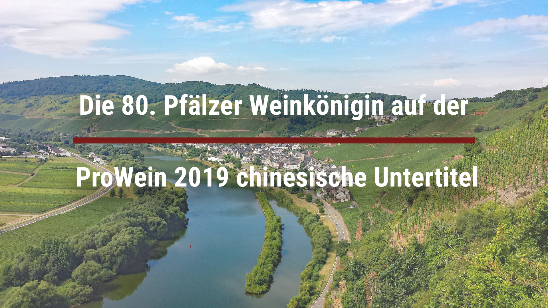 The 80th Palatinate Wine Queen at ProWein 2019 – Chinese subtitles
