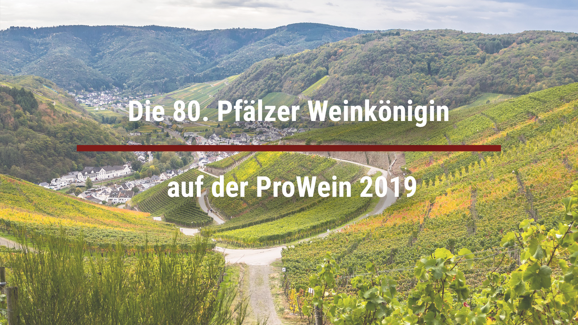 The 80th Palatinate Wine Queen at ProWein 2019
