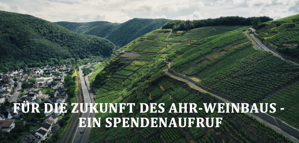 Read more about the article Für die Zukunft des Ahr-Weinbaus – Ein Spendenaufruf